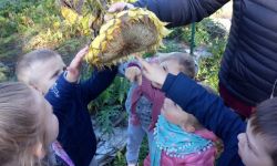 Semaine Du Goût   017